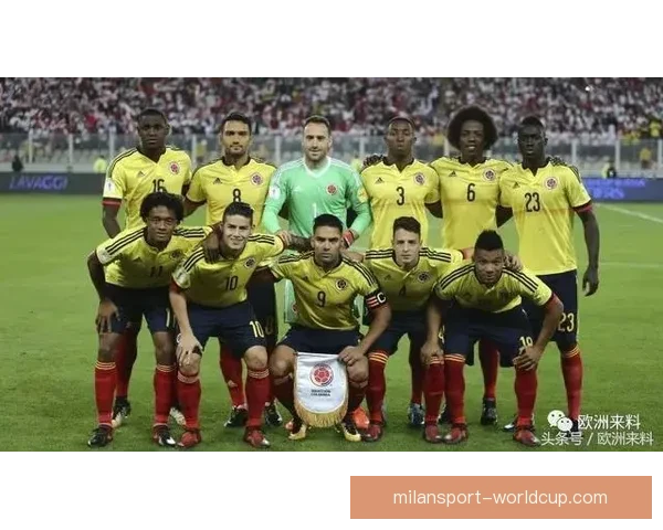 世界杯胜负预测分析与竞猜技巧解析助你精准把握比赛结果